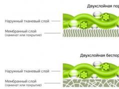 Клетъчна мембрана: нейната структура и функции