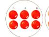 Составление набора и определение групповой принадлежности крови по стандартным сывороткам Набор для определения группы крови